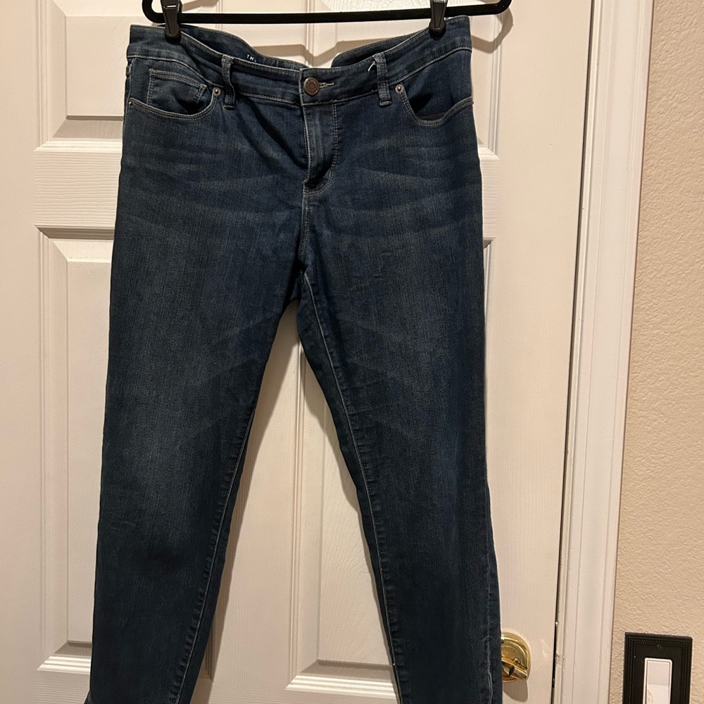 The Limited Blue Skinny Jeans Medium Weight